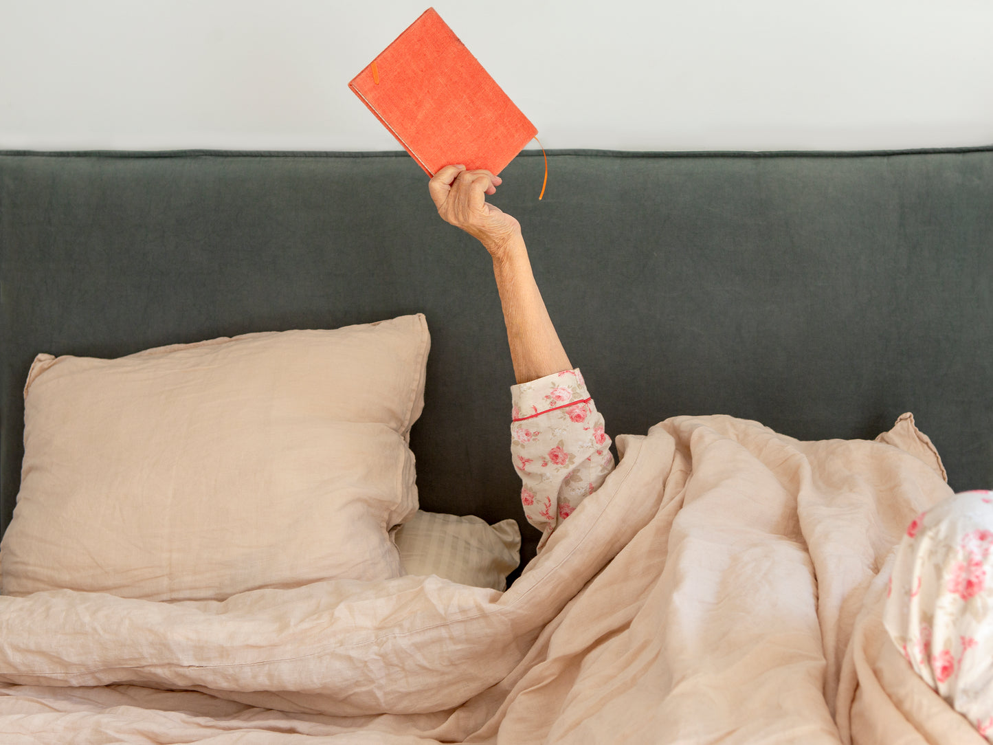 Gratitud en acción: 5 minutos para una vida plena